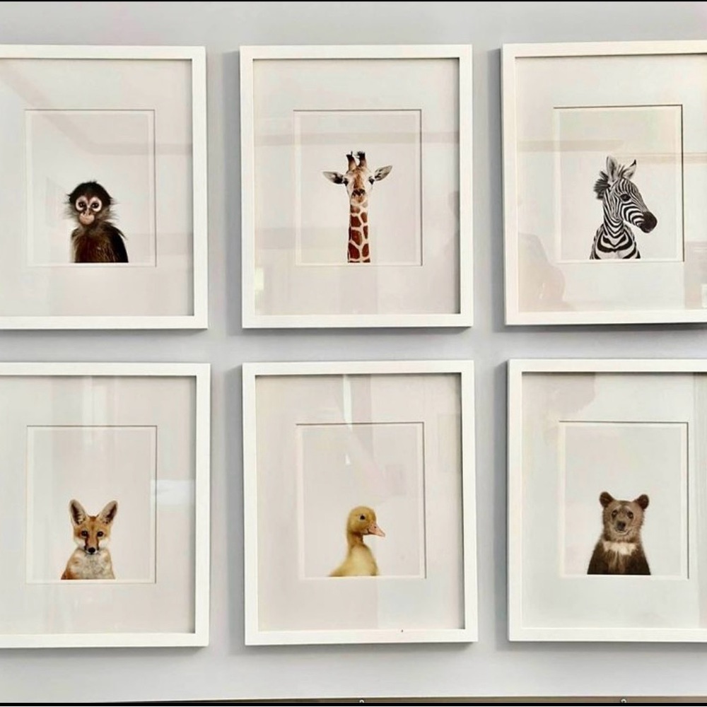 Authentic Restoration Hardware Nursery Set of 6 Baby Animal Art Prints